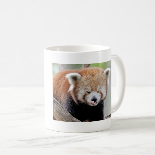 Mok Foto red panda, animal 0399. (Voorkant rechts)