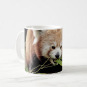 Mok Foto rode panda, dieren. (Voorkant links)
