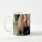 Mok Foto rode panda, dieren. (Links)