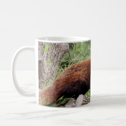 Mok Foto van rode panda , dieren . mok koffie (Links)