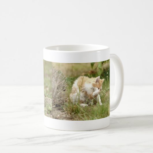 Mok. Fotostraatkat, kat.  mok koffie (Voorkant rechts)