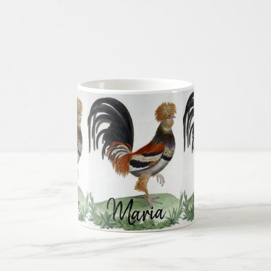 Mok Franse vogelpest (Center)