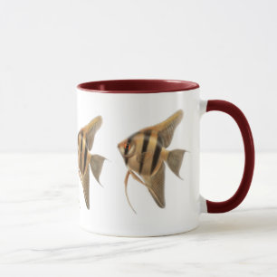 Mok Freshwater Angelfishes