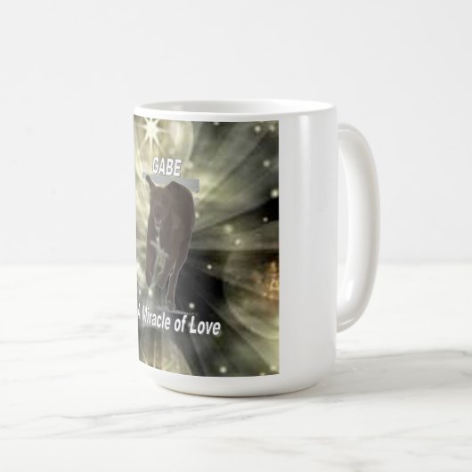 Mok Gabe Mirakel (Voorkant rechts)