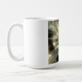 Mok Gabe Mirakel (Links)