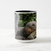 Mok Galapagos Tortoise (Midden)