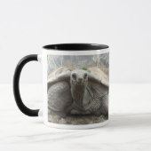 Mok Galapagos Tortoise (Links)