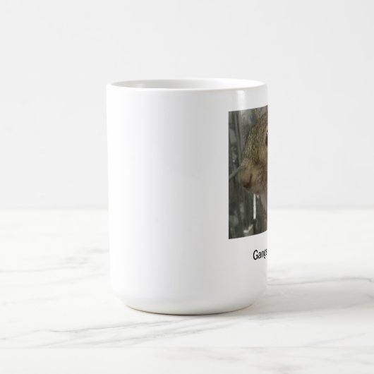 Mok Gangsta Squirrel (Center)