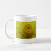 Mok gele chrysanthemum (Links)