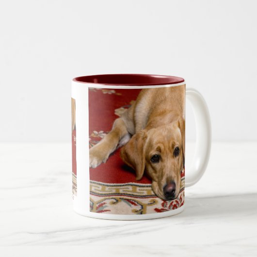 Mok gele lab (Voorkant rechts)