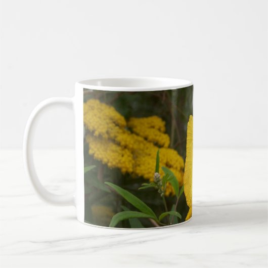 Mok gele vlinder (Links)