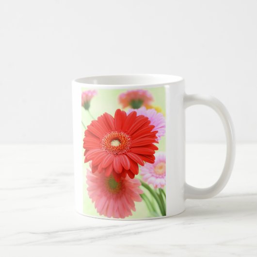Mok  Gerber Daisies (Rechts)