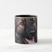 Mok German Shepherd Dog Alsatian (Midden)