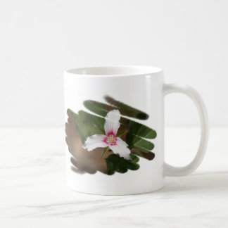Mok geverfde wilde Trillium