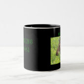 Mok glansmachine (Center)