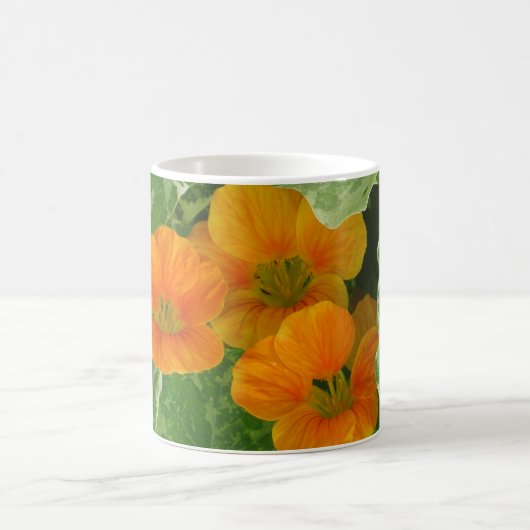 Mok gloeiend Nasturtium (Center)