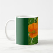Mok gloeiend Nasturtium (Links)