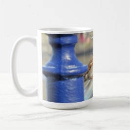 Mok - Goedemorgen Mus