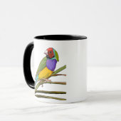 Mok Gouldian Finch (Voorkant links)