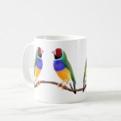 Mok Gouldian Finches (Voorkant links)