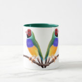 Mok Gouldian Finches (Midden)