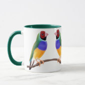Mok Gouldian Finches (Links)