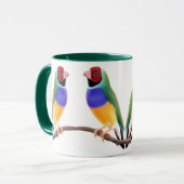 Mok Gouldian Finches (Voorkant links)