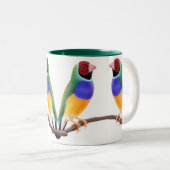 Mok Gouldian Finches (Voorkant rechts)