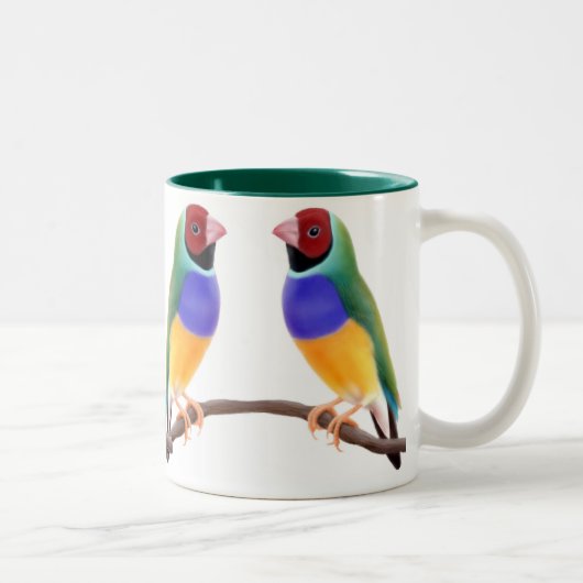 Mok Gouldian Finches (Rechts)