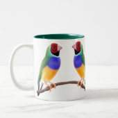 Mok Gouldian Finches (Links)
