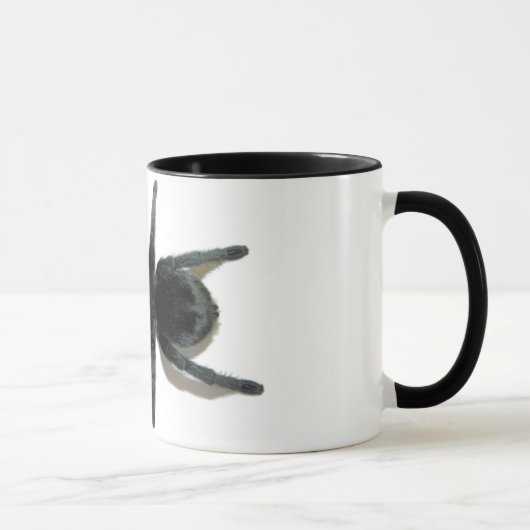 Mok - Grammostola pulchra (Braziliaans zwart) (Rechts)