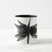 Mok - Grammostola pulchra (Braziliaans zwart) (Midden)