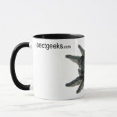 Mok - Grammostola pulchra (Braziliaans zwart) (Links)