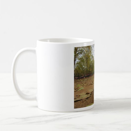 Mok Gray Squirrel Hyde Park Londen (Links)