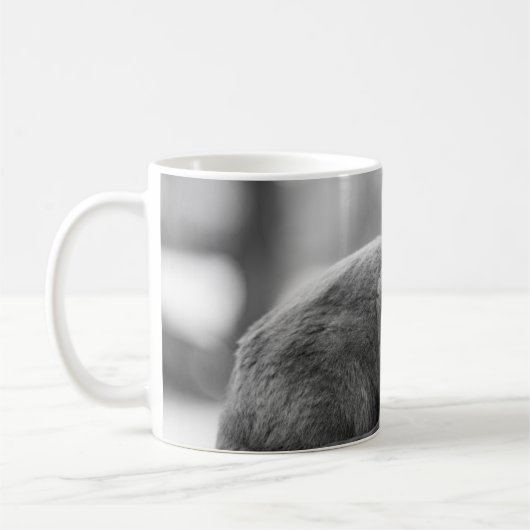 Mok grijze kattenkoffie (Links)