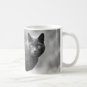 Mok grijze kattenkoffie