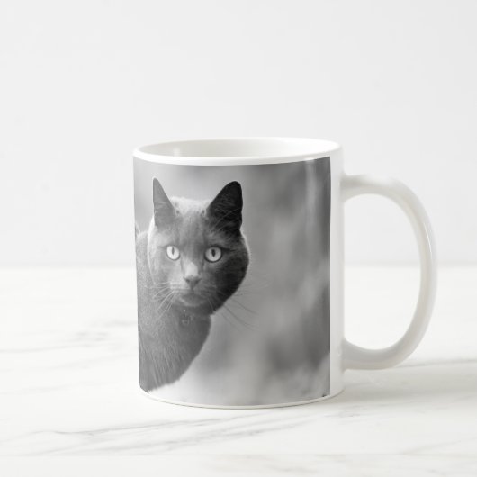 Mok grijze kattenkoffie (Rechts)