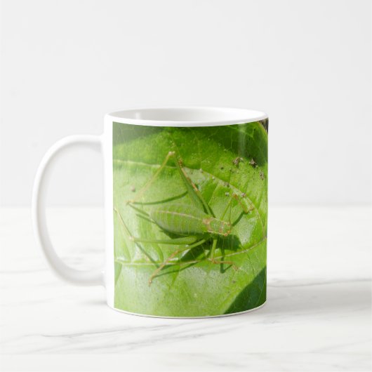 Mok Groene cricket Camouflage Bug (Links)