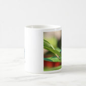 Mok groene en zwarte dragonfly (Center)