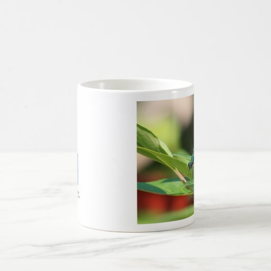 Mok groene en zwarte dragonfly (Center)