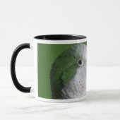 Mok Groene Quaker Parrot (Links)