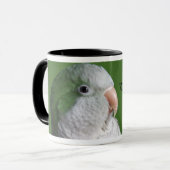 Mok Groene Quaker Parrot (Voorkant links)