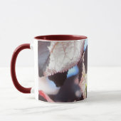 Mok - Groene sprinkhaan in bladeren (Links)