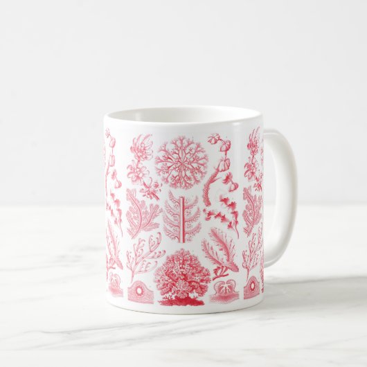 Mok Haeckel Florideae (Voorkant rechts)