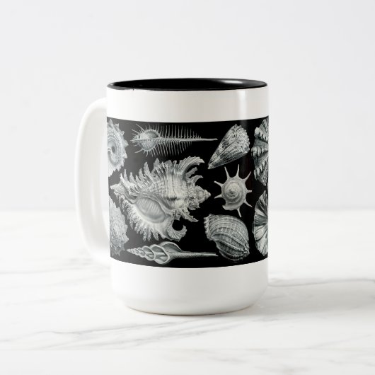 Mok Haeckel Shells (Voorkant links)