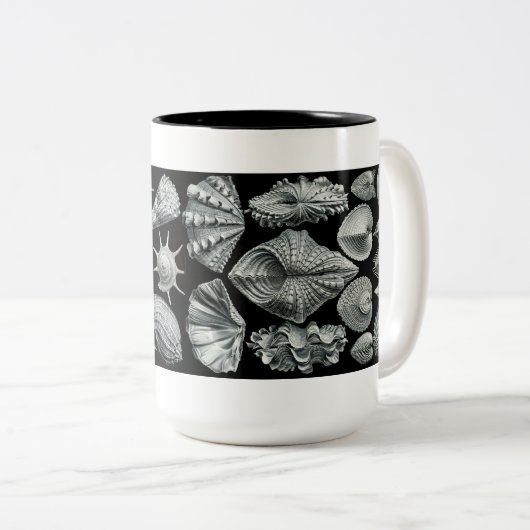 Mok Haeckel Shells (Voorkant rechts)