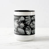 Mok Haeckel Shells (Center)