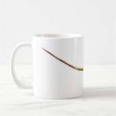 Mok hagedis 01 (Links)