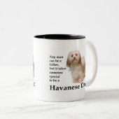 Mok Havanese papa (Voorkant rechts)