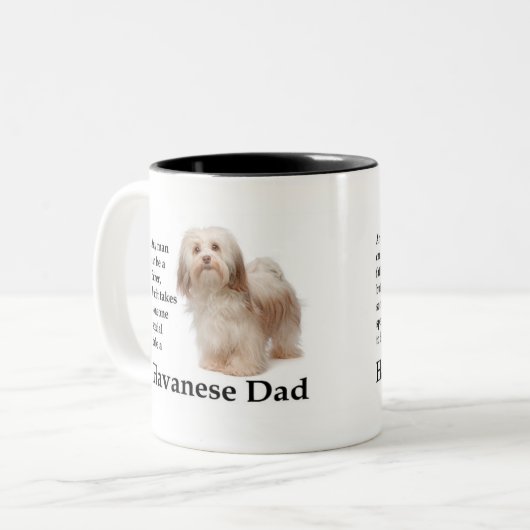 Mok Havanese papa (Voorkant links)
